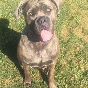 Meet your Posher, Jill